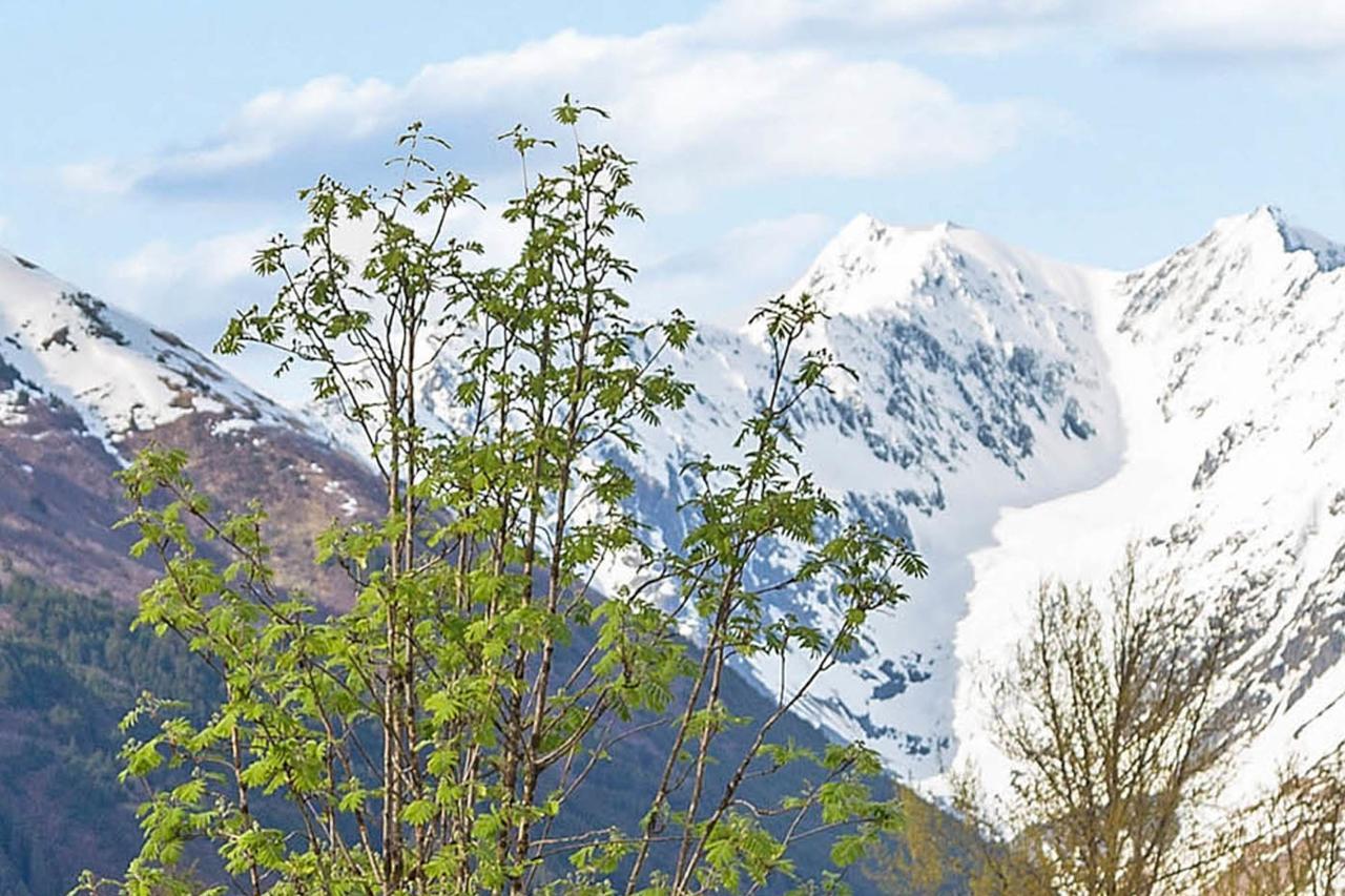 Skiview #103 Girdwood Eksteriør billede